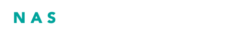 NAS Corporation Logo